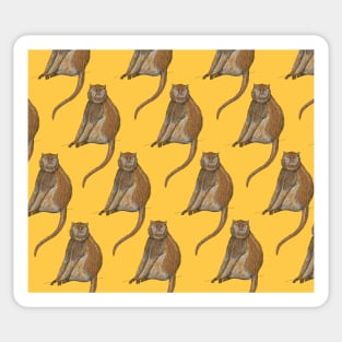 Amazing Patas Monkey Sticker